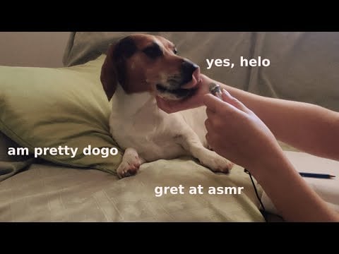 ASMR attempting to draw my dog but he won't stay still (good boi anyway)