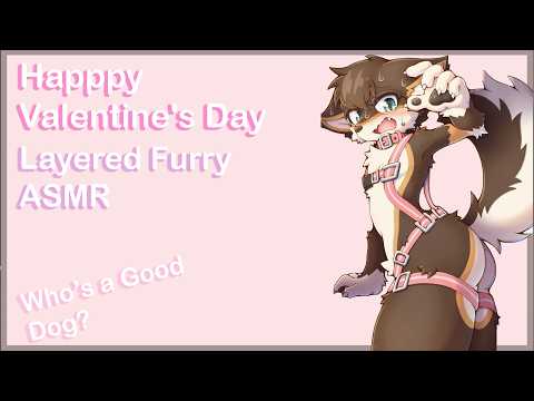 Happy Valentine's Day, Furry ASMR.