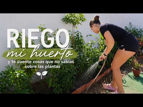 RIEGO mi HUERTO mientras te cuento cosas que probablemente NO sabías🌱 | ASMR talking | Pandasmr