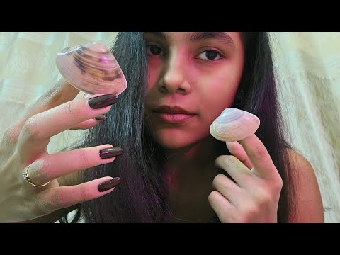 Lofi ASMR  | Showing you my shell collection 🐚 ✨