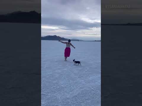 shalalala salt flats