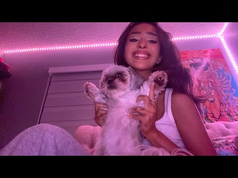 |not asmr| cantándole “Cielito Lindo” a charlie