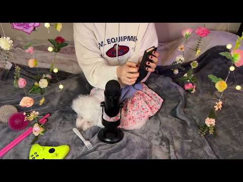 ASMR Relaxing sounds with Belle & Oliver | Tapping | Clicking sounds | Tingles for sleep or Studying