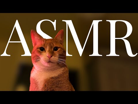 ASMR Tracing Goldie’s Face 