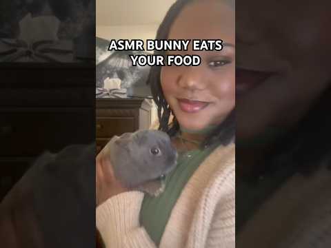 I think he’s hungry guys. #asmr #pov #hungrybunny #cute