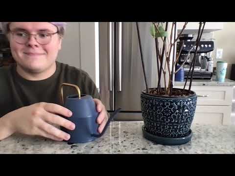 Tracing and Explaining My Tropical Plants *Voiceover* (September Flowers' Video #1) | Eclectic ASMR