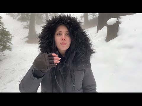 ASMR Nature walk in the snow (snow crunching, whisper)