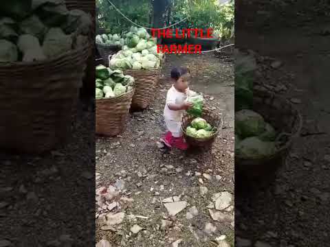 little farmer #hardworker #funnyshorts #funnyvideo #comedyshorts #challengergirl#igorotak