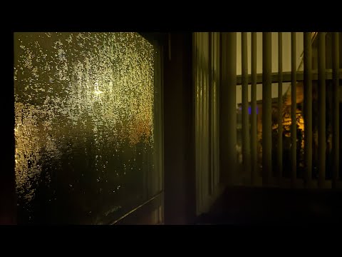 ASMR Authentic Rain & Thunder Sounds 