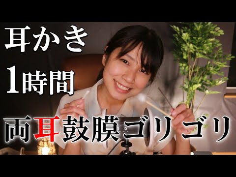 【ASMR耳かき】ゴリゴリ鼓膜を1時間耳かき GORIGORI Ear Cleaning 1hour【睡眠BGM】