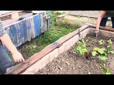 ASMR gardening re uploaded