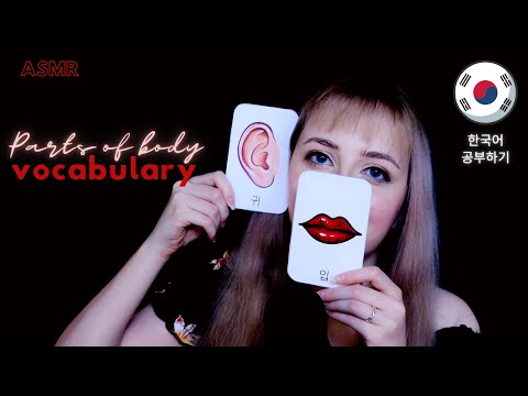 ASMR│Learn Korean With Me│Parts of Body Vocabulary (조곤조곤 한국어 공부하기)