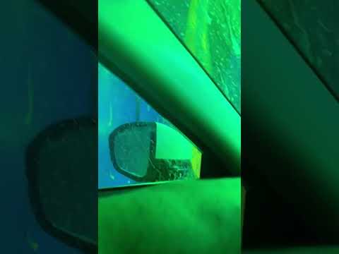 Car 🚘 Wash 💦 ASMR #asmr #relax #asmrvideos #tingling #shorts #shortsvideo #fyp