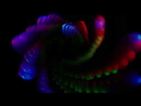 ASMR | Lazer Visuals & Loofah (colorful lights)