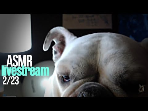 Edit with me & penny | ASMR for sleep and other good things like that