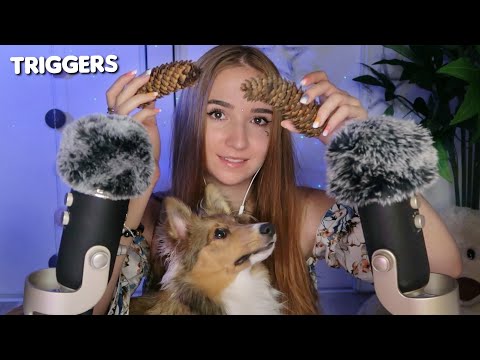 ASMR TRIGGERS NATURE avec mon chien 💞 (version longue, repost coupe de france @Dimitri ASMR)
