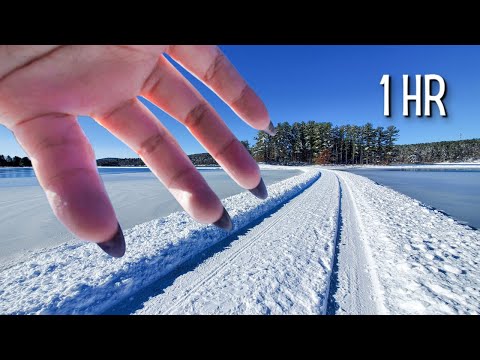 Public ASMR🌞Winter/Fall Camera Tapping Compilation 1hr+