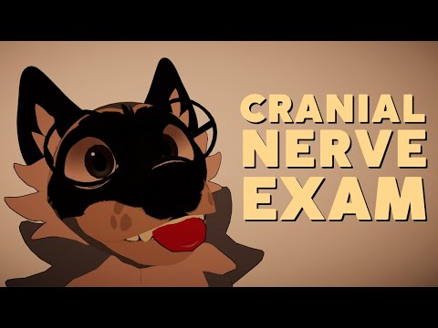 [Furry ASMR] Cranial Nerve Exam in VR!