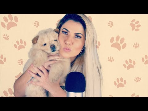 ASMR Puppy Sounds ❤