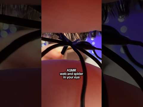 ASMR web and spider in your eye #asmr #asmrsounds #asmrrelax #asmrsleep #relax #tingles #asmrvideo