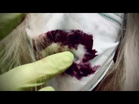 LATEX GLOVES 🙌 FACEMASK👄  LIPS and MOUTH 👄  LIPSTICK👄  WHISPER 🎧  [[ASMR]]