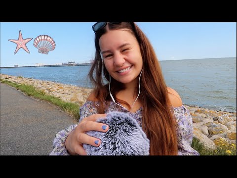 [ASMR] am STRAND/MEER! 🌊 | Meeresrauschen und vieles Meer.. | ASMR Marlife