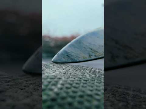 Intense scalp inspection on my steering wheel cover #asmr #visualasmr #visualtriggers #raeasmr
