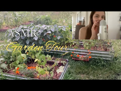 ASMR whispers veggie garden tour 🪴