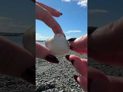 ASMR | Beach Treasure Hunting #asmrtriggers #relax #tingles #asmrvideos #nails