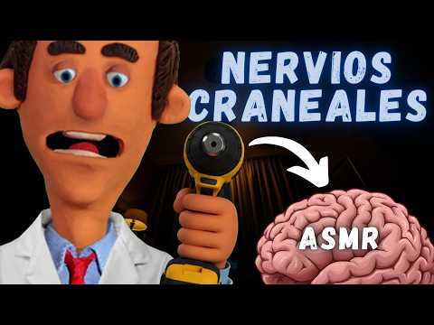 ASMR Dr. Extraño EXTRAE tus Nervios Craneales🧠(roleplay médico)