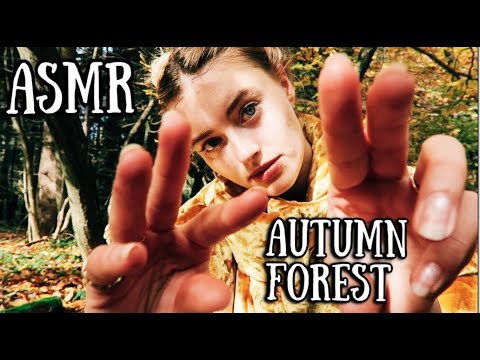 ASMR I Hand Movements in Autumn Forest! 🍁