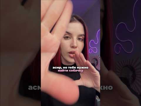 Всех собачек нашел на видео? 🐶