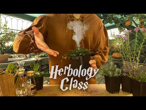 A Sleepy Herbology Class at Magic School | ASMR Roleplay