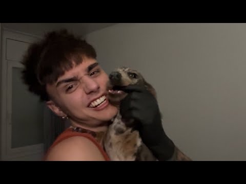 ASMR Visual de los que te gustan con una invitada sorpresa 🫣