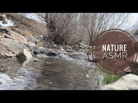 Nature's perfect relaxing ASMR water sound and piano sound