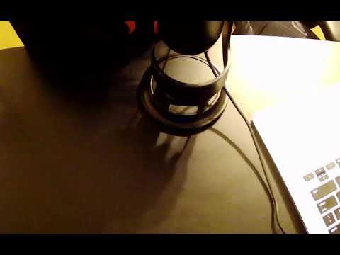 ASMR Stream 8 (They speak English in What?)