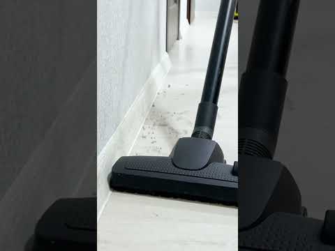 🧹✨What’s Hiding Behind the Sofa? 😳 ASMR Dust Cleaning in Seconds