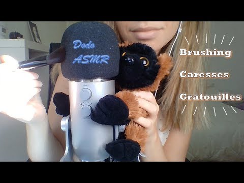[ASMR Français] Brushing, caresses, gratouilles avec Dodo !
