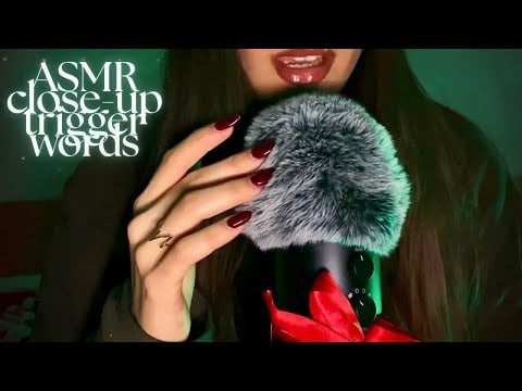 ASMR Close-up Winter Trigger Words🎄(mic brushing, clicky whispers, gentle mouth sounds, shushing) 