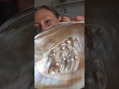 Gentle tapping Soft whispers for relaxation #asmrforstressrelief #shell #tapping #personalattention