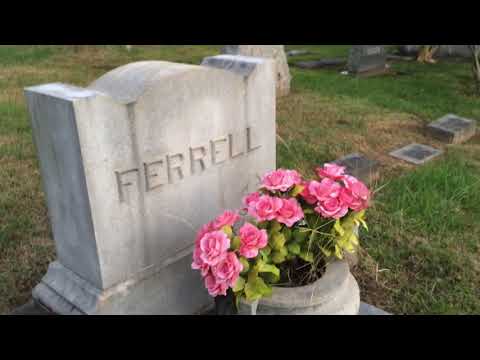 ASMR Halloween special walking through cemetery