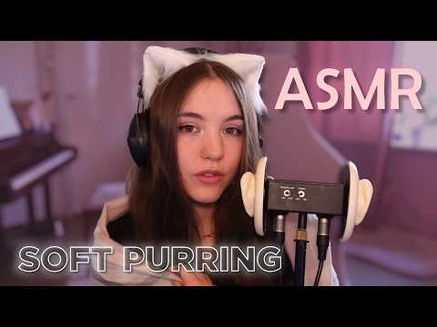 1 HOUR NO ADS ASMR Purring 😽