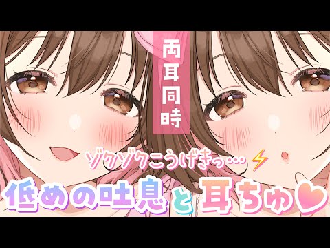 【ASMR】ゾクゾク感倍増…💜低音吐息と不意打ちの耳ちゅ。[Low breath and surprise ear kisses.]