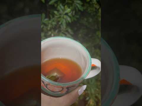 🧚🏽‍♀️🫖☔️ #asmr #mexico #tea