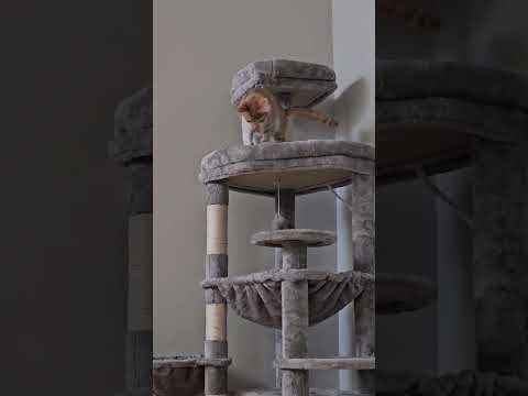 Jaydyn Playing