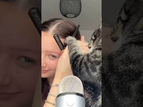 do you want more ASMR content with Simba?