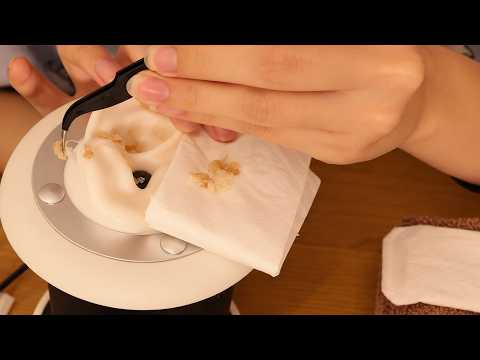ASMR (고전물) 좀 더러울지도 모르는 귀청소 ;