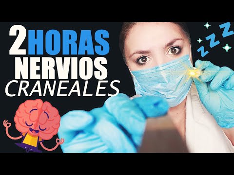 2 HORAS de los MEJORES EXAMEN de NERVIOS CRANEALES