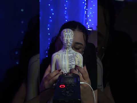 ASMR TAPPING E SCRATCHING BONECO DE ACUPUTURA