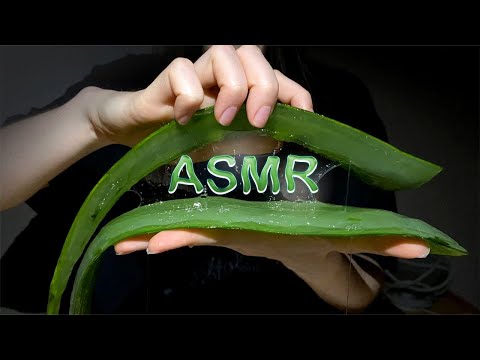 99,9% DAS PESSOAS DORMEM VENDO ESSE VÍDEO DE ASMR 😴 ALOE VERA